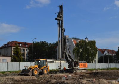 Wzmocnienia podłoża DSM